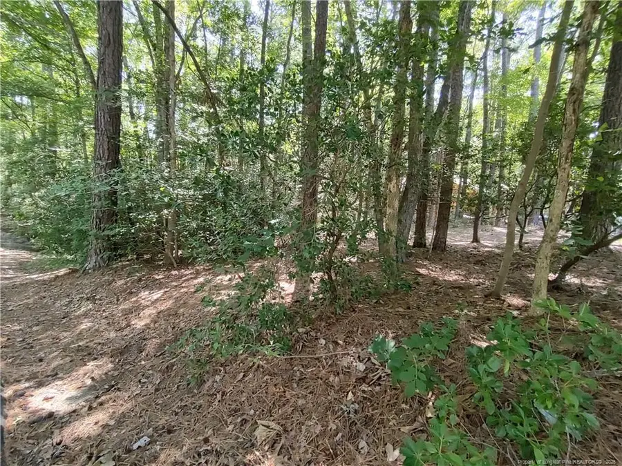 1454 W Carolina Drive, Sanford, NC 27332 - #3