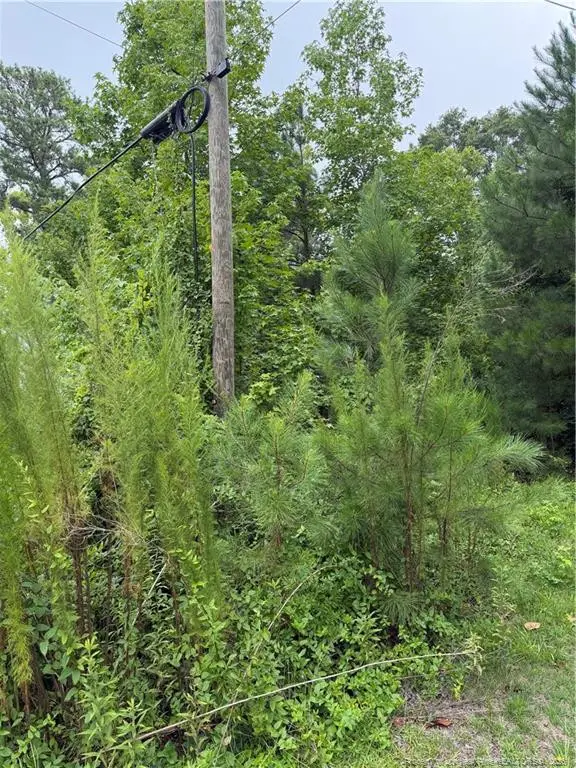 2105 Sapona Road, Fayetteville, NC 28312 - #2