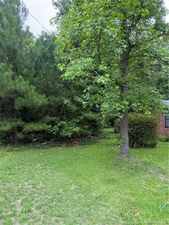 2105 Sapona Road, Fayetteville, NC 28312 - #3