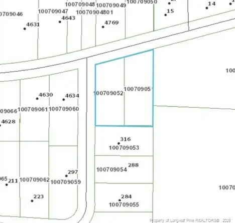 0 Pine Log Road, Raft Swamp, NC 28384 - #2
