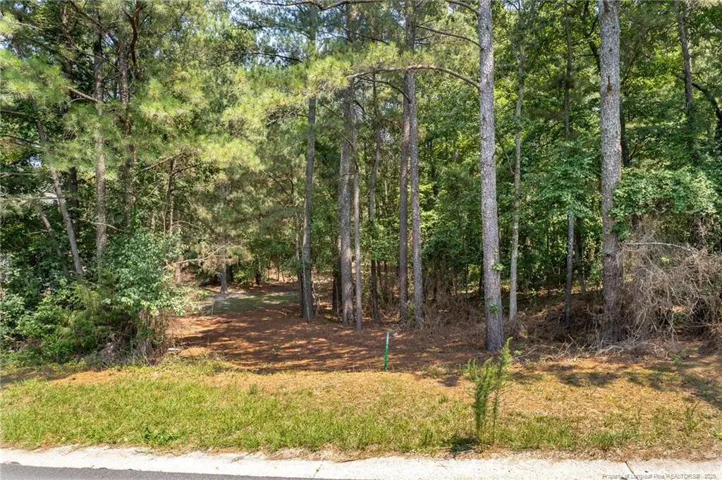 3432 Green Valley Road, Fayetteville, NC 28311 - #1