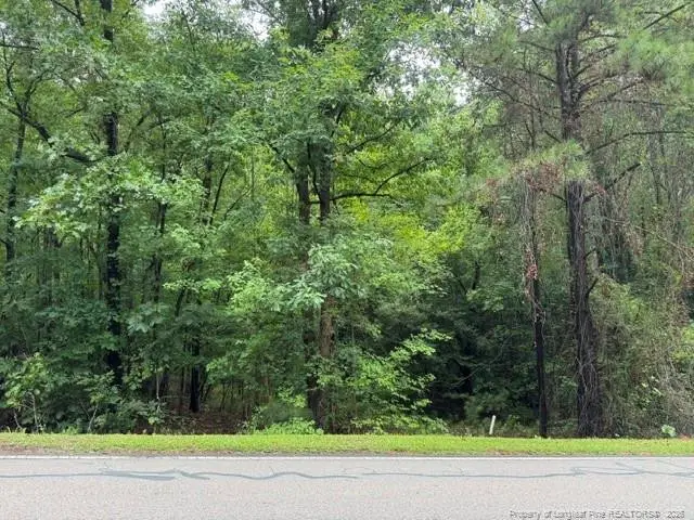 0 Carolina Way, Sanford, NC 27332 - #2