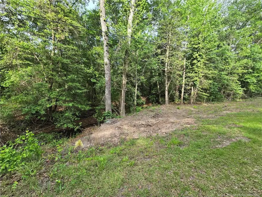 Lot 45-47 Cabins Creek Road, Vass, NC 28394 - #2