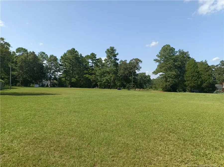 112 Lakeview Drive, Red Springs, NC 28377 - #2