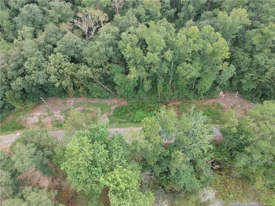 Lot A-8 Lakeview Drive, Red Springs, NC 28377 - #3