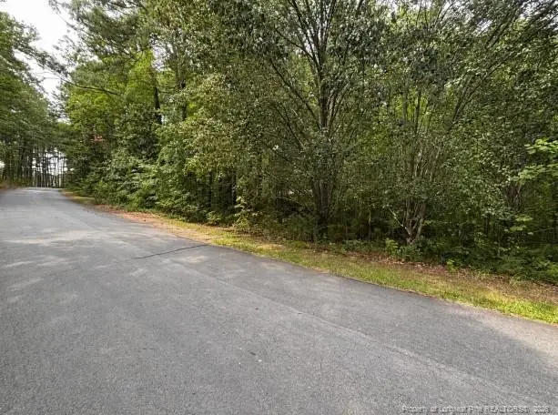 265 Fairway Lane, Sanford, NC 27332 - #1