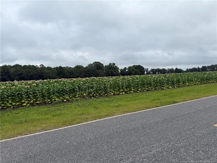 584 Red Oak Farm Road, Hollow, NC 28392 - #2