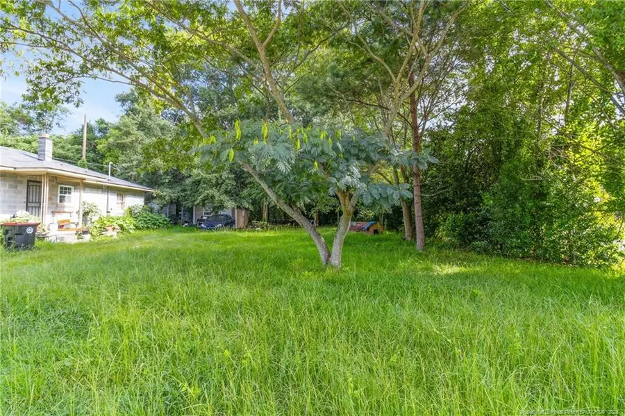 223 6th Avenue, Red Springs, NC 28377 - #2