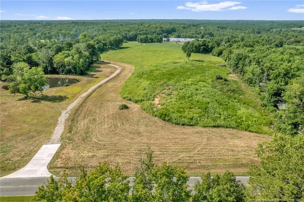00 Laia Hills (lot 3) Road, Siler City, NC 27344 - #1
