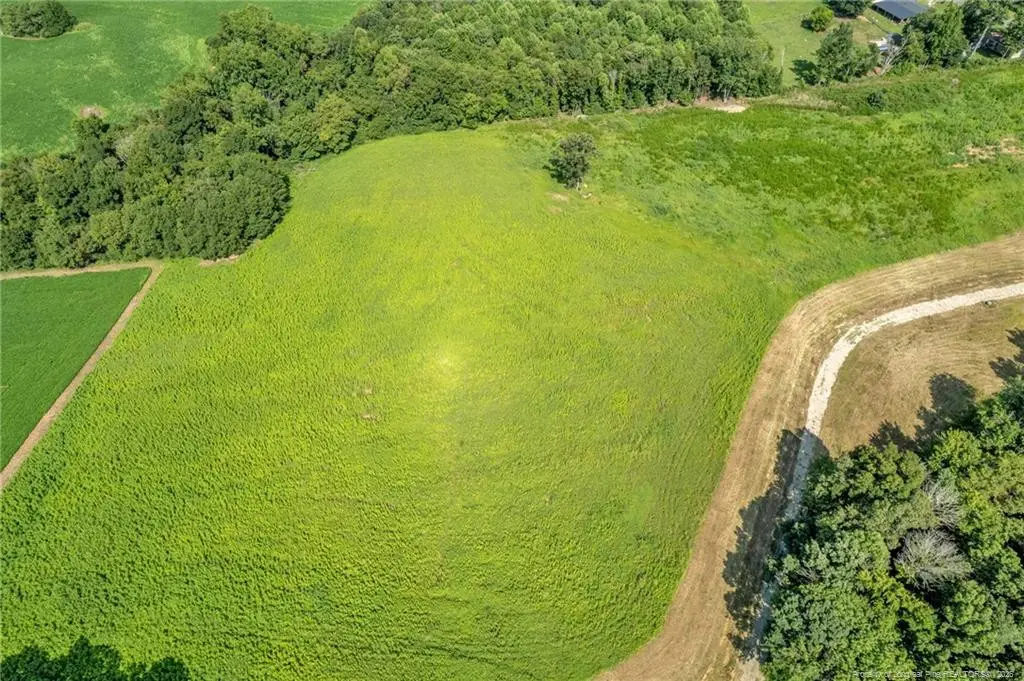 00 Laia Hills (lot 4) Road, Siler City, NC 27344 - #1