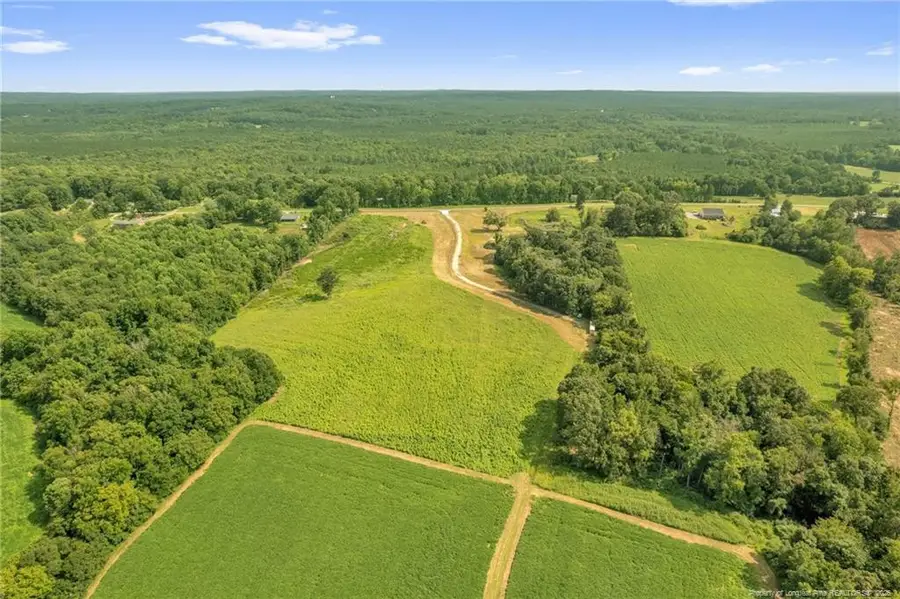 00 Laia Hills (lot 4) Road, Siler City, NC 27344 - #2