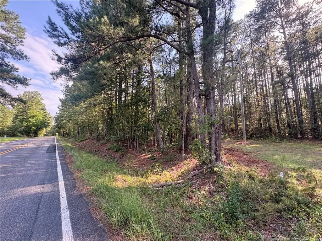 S Plank Road, Sanford, NC 27330 - #1