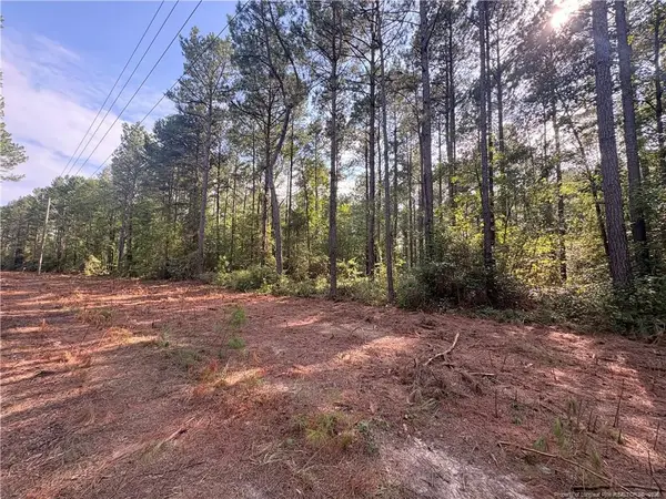Lot 2 S Plank Road, Sanford, NC 27330