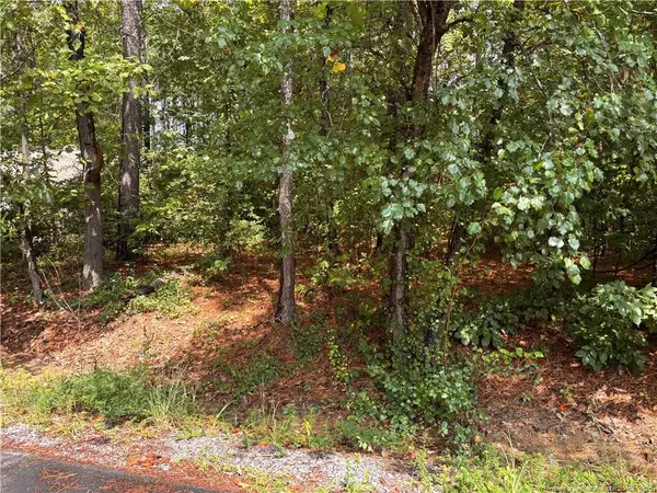 668 Chelsea Drive, Sanford, NC 27332