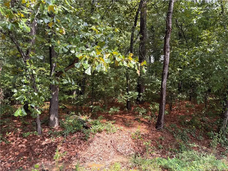 668 Chelsea Drive, Sanford, NC 27332 - #2