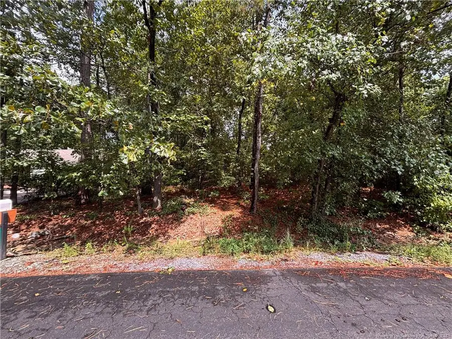 668 Chelsea Drive, Sanford, NC 27332 - #3