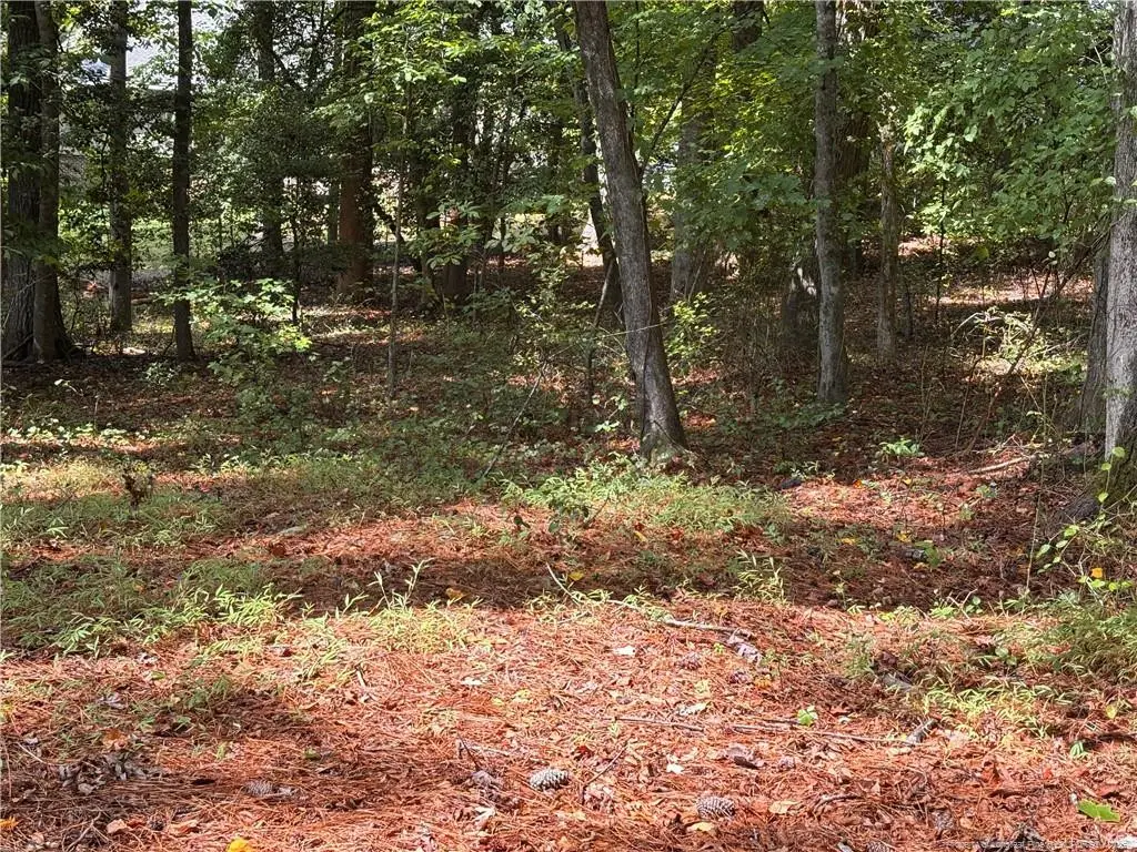 1532 Delaware Place, Sanford, NC 27332 - #1