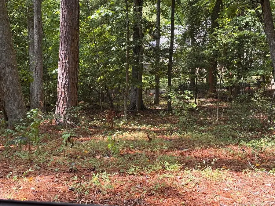 1532 Delaware Place, Sanford, NC 27332 - #2