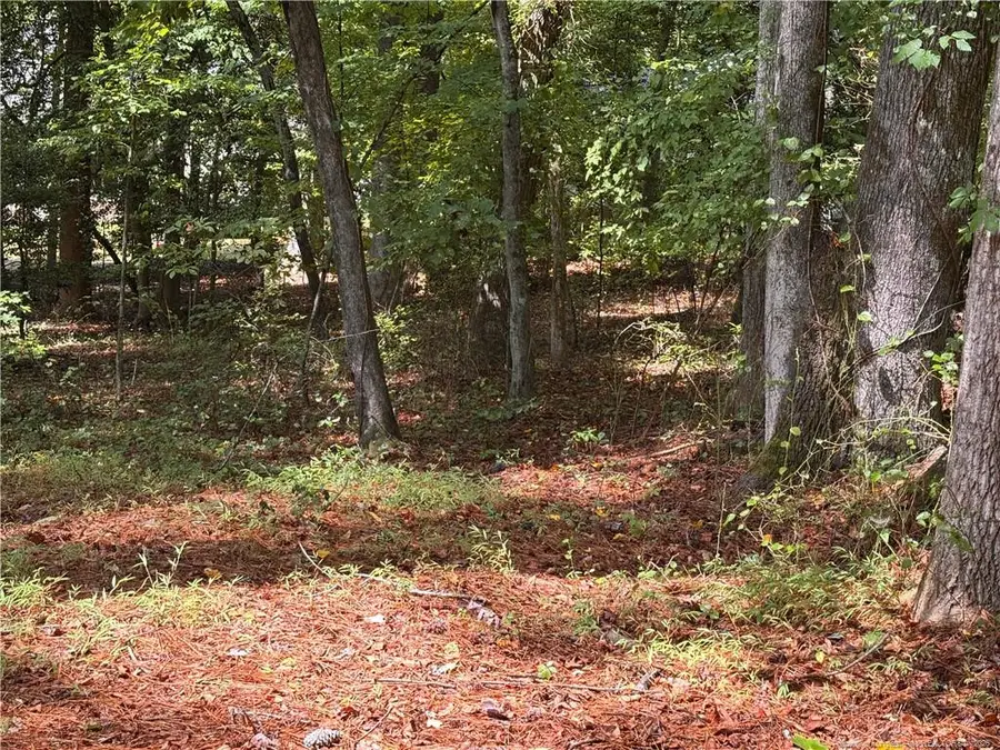 1532 Delaware Place, Sanford, NC 27332 - #3