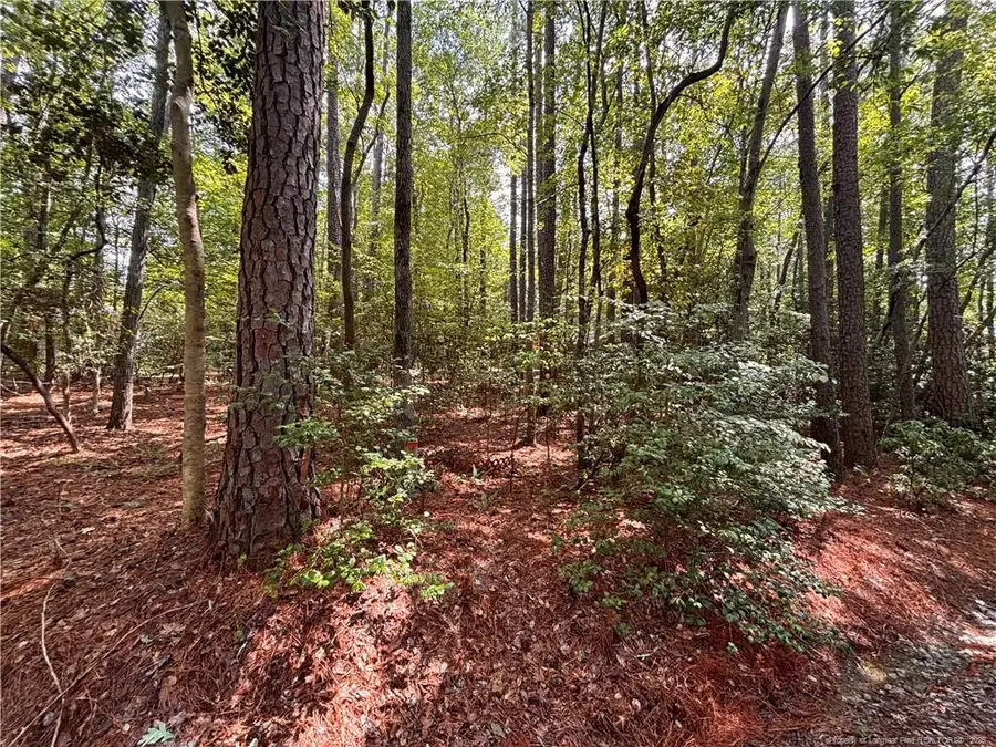 1452 Carolina Drive, Sanford, NC 27332 - #2