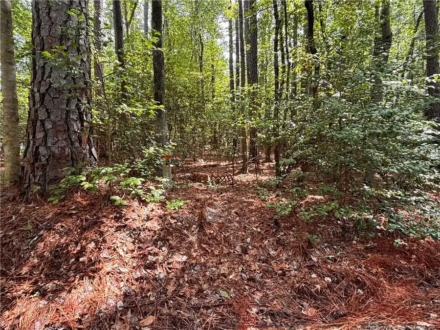 1452 Carolina Drive, Sanford, NC 27332 - #3