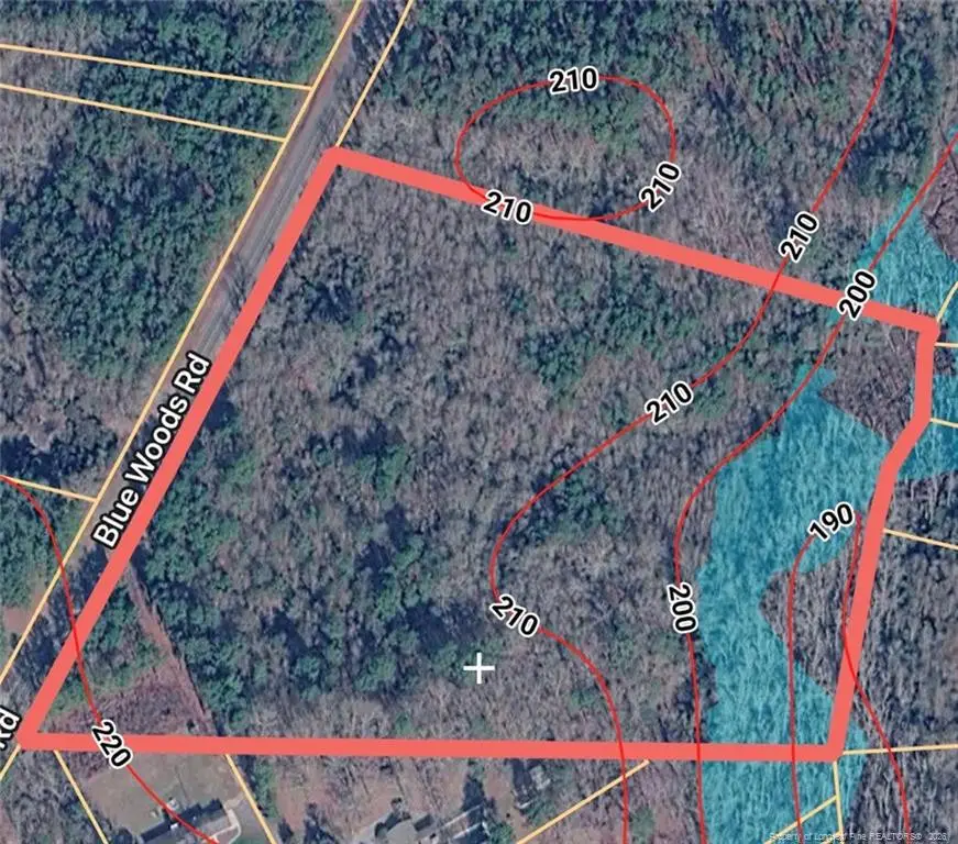 Blue Woods Road, Laurinburg, NC 28352 - #2