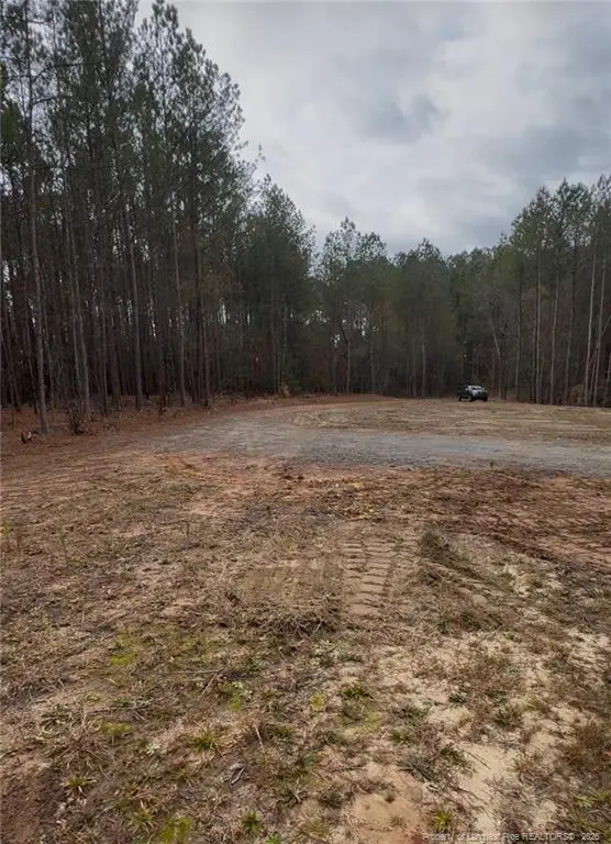 183 Thistlecone Lane, Sanford, NC 27330