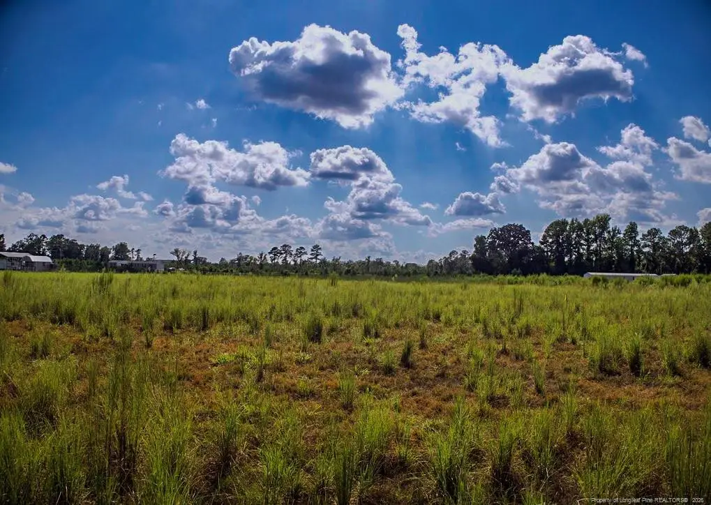 Lot 6 Mitchell Road, Fairmont, NC 28340 - #1