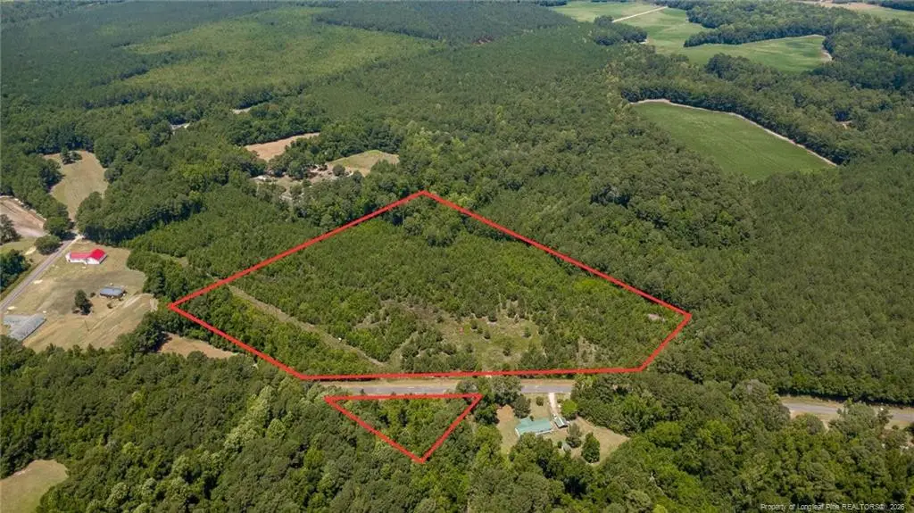 422 Drye Road, Council, NC 28434 - #1