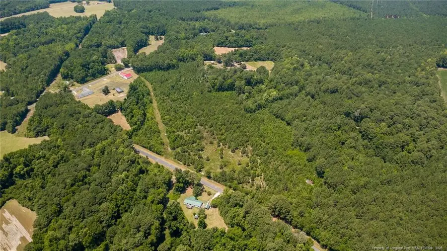 422 Drye Road, Council, NC 28434 - #2