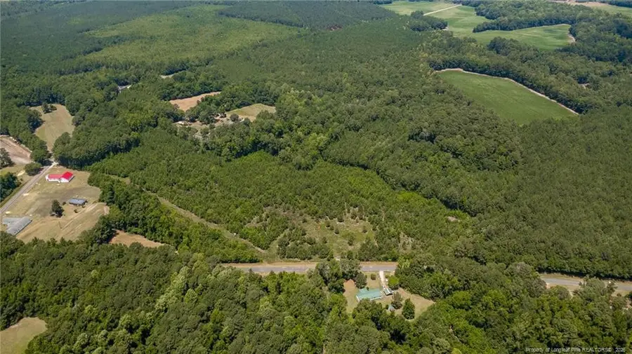 422 Drye Road, Council, NC 28434 - #3
