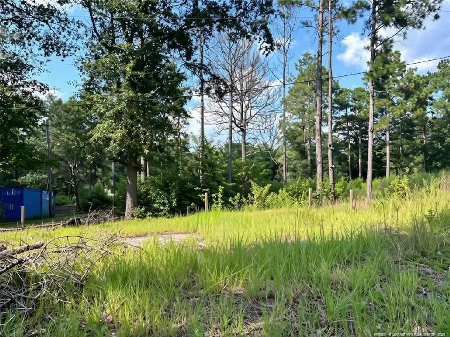 813 Wiregrass Road, Hamlet, NC 28345 - #2