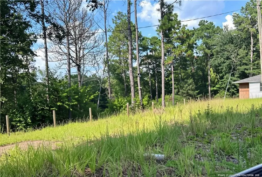 813 Wiregrass Road, Hamlet, NC 28345 - #3