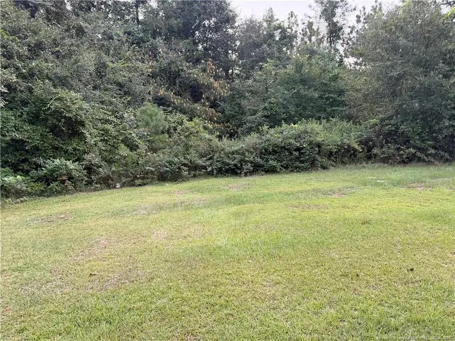 19420 Knapp Street, Laurinburg, NC 28352 - #2