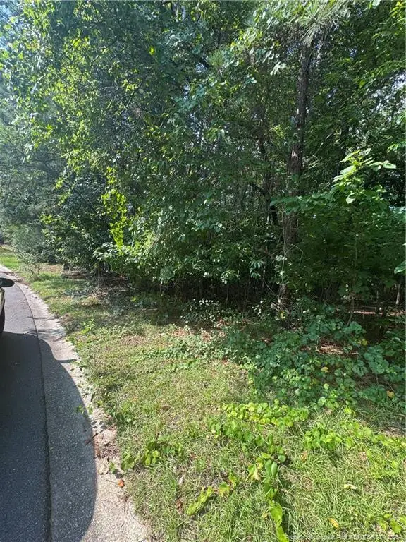 0 Stonington Drive, Fayetteville, NC 28311 - #2