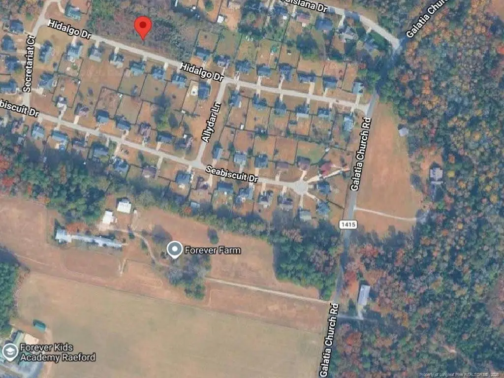 320 Hidalgo Drive, Raeford, NC 28376 - #1