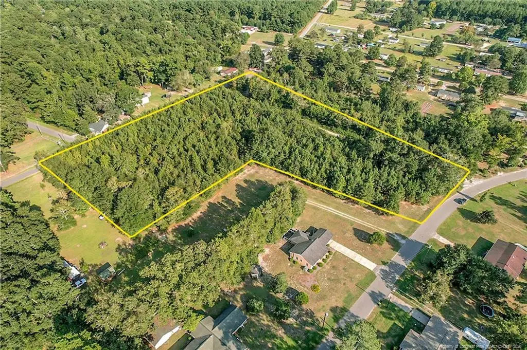 Orange Street, Fair Bluff, NC 28439 - #1