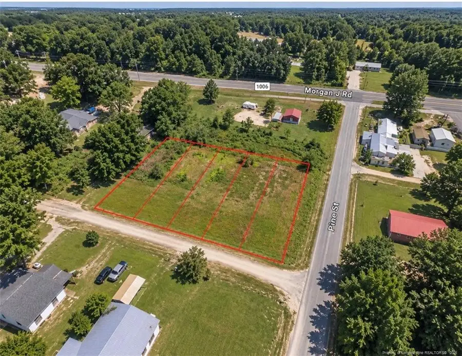 Pine Street, Rennert, NC 28386 - #3