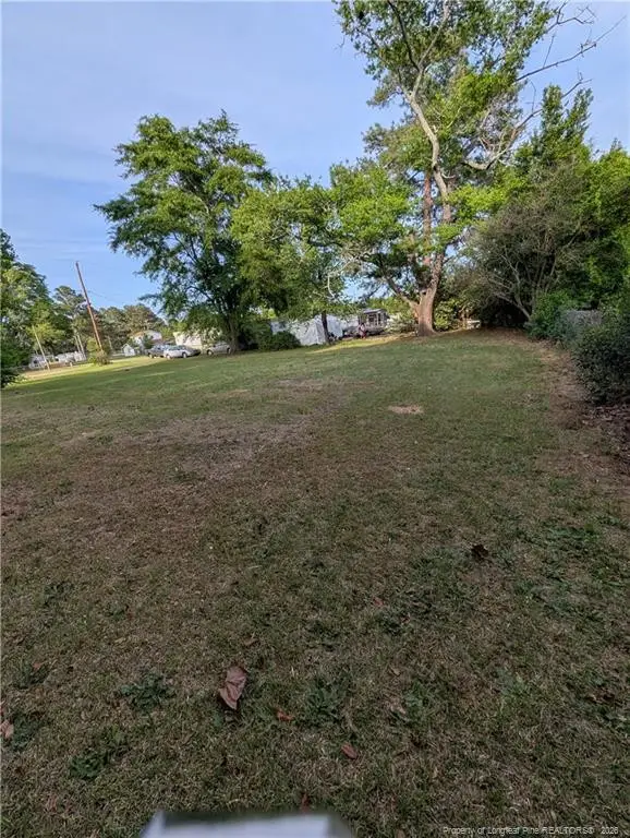 705 Peele Street, Laurinburg, NC 28352 - #3