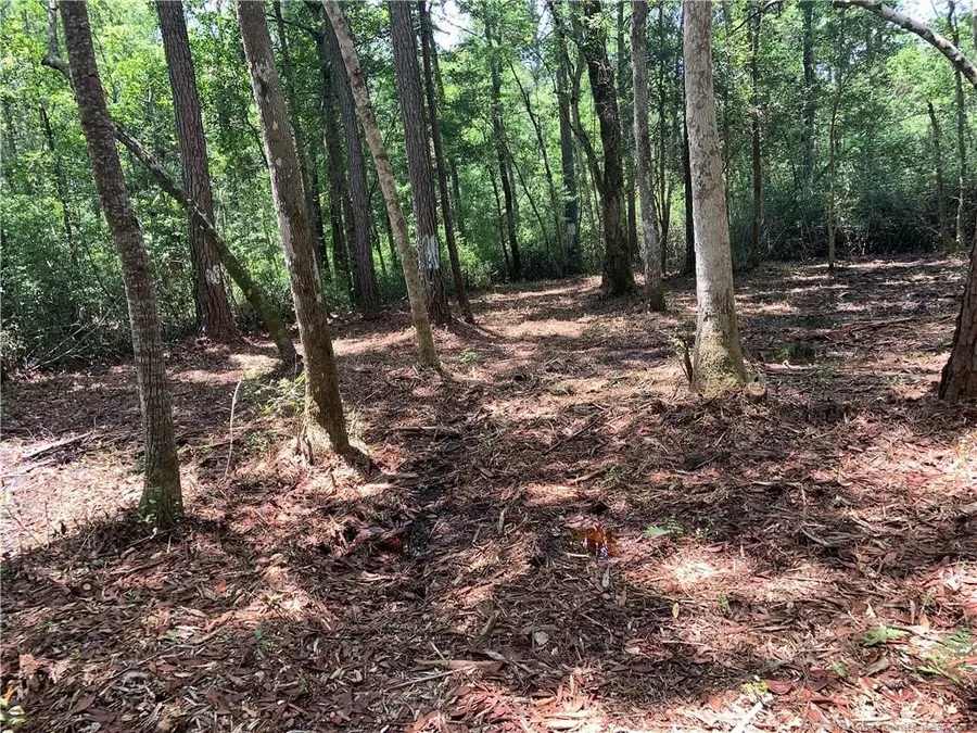 Dandy Acres Lane, Supply, NC 28462 - #2