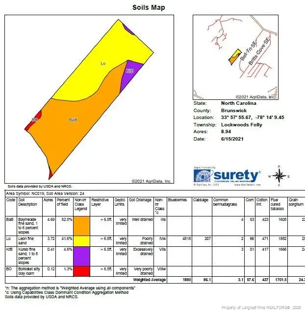 Dandy Acres Lane, Supply, NC 28462 - #3