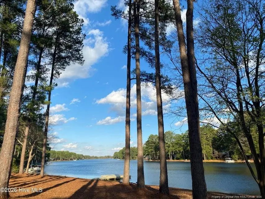172 Pine Ridge Drive, Whispering Pines, NC 28327 - #3