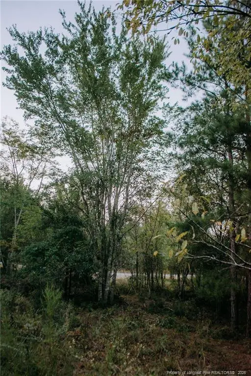 Lot 3-TBD Nighthawk Loop, Aberdeen, NC 28315