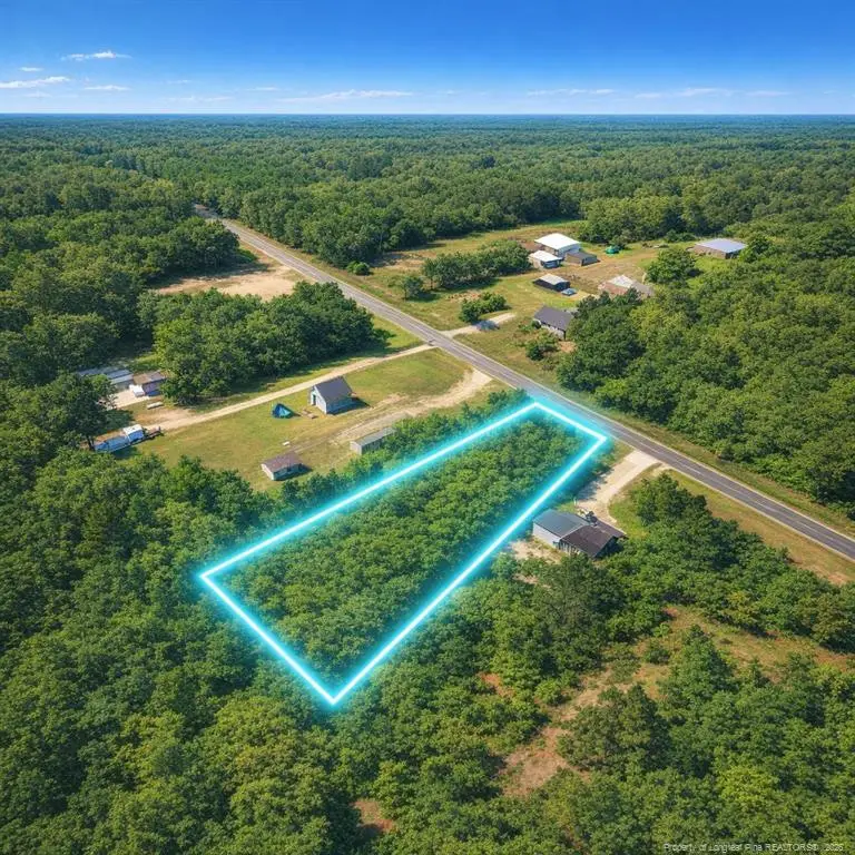 2496 Walker Road, Linden, NC 28356 - #2