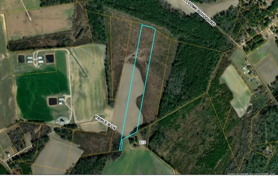 9 Triple B Lane, Autryville, NC 28318 - #1