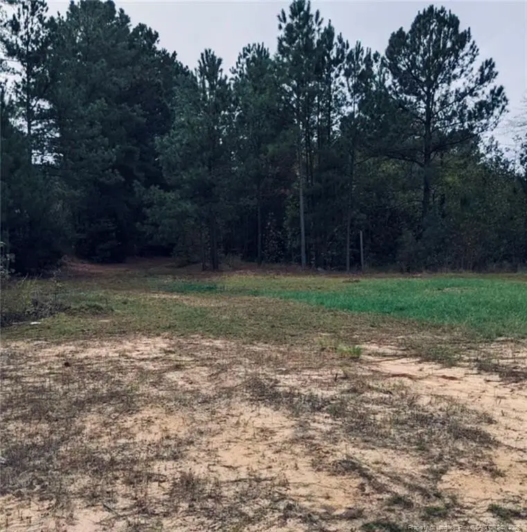 East Governor Brandon Street, Spring Lake, NC 28390 - #1