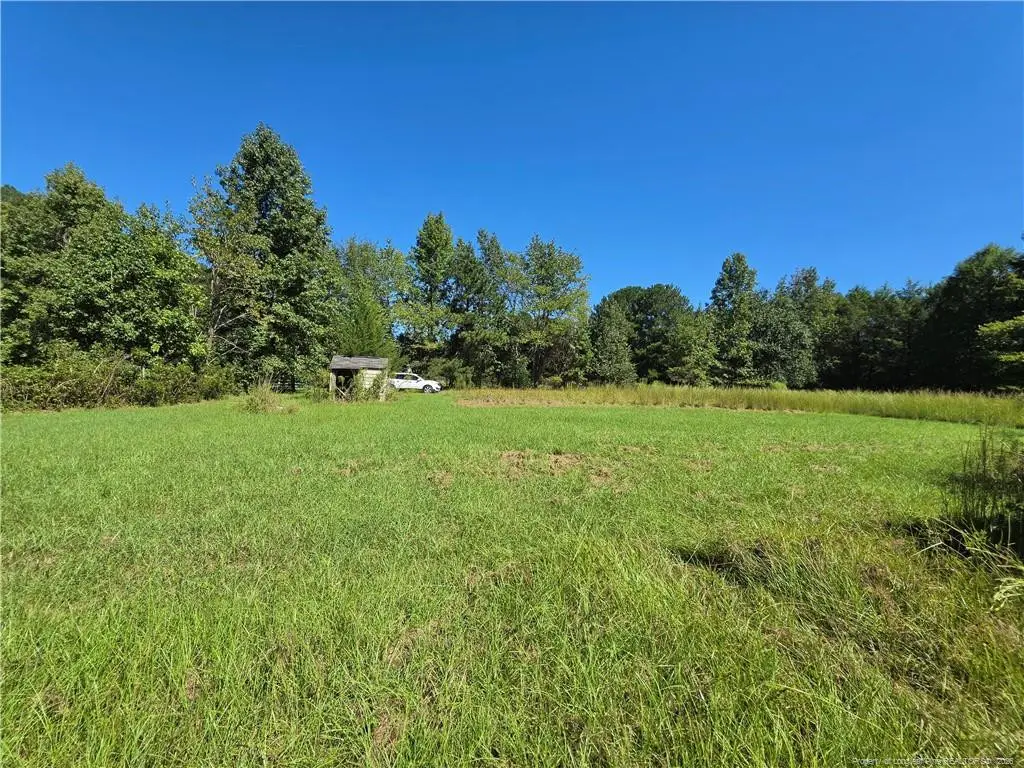 9685 Giles Road, Linden, NC 28356 - #1