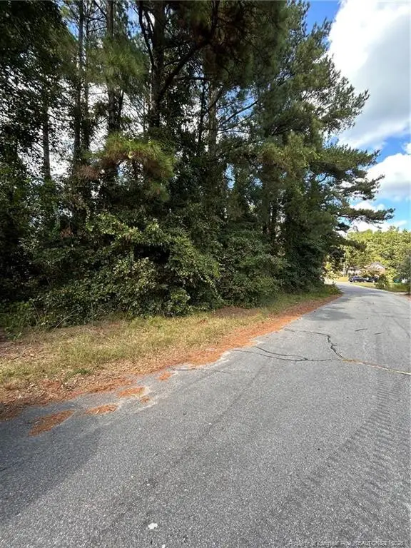 1100 Vass Road, Spring Lake, NC 28390 - #1