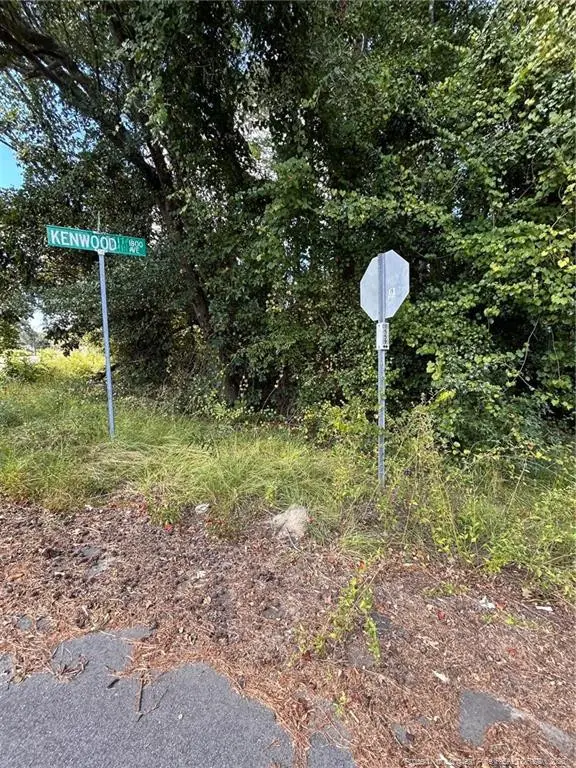 1100 Vass Road, Spring Lake, NC 28390 - #3