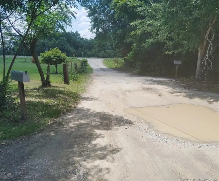 113 James Kelly Drive, Hoffman, NC 28347 - #1